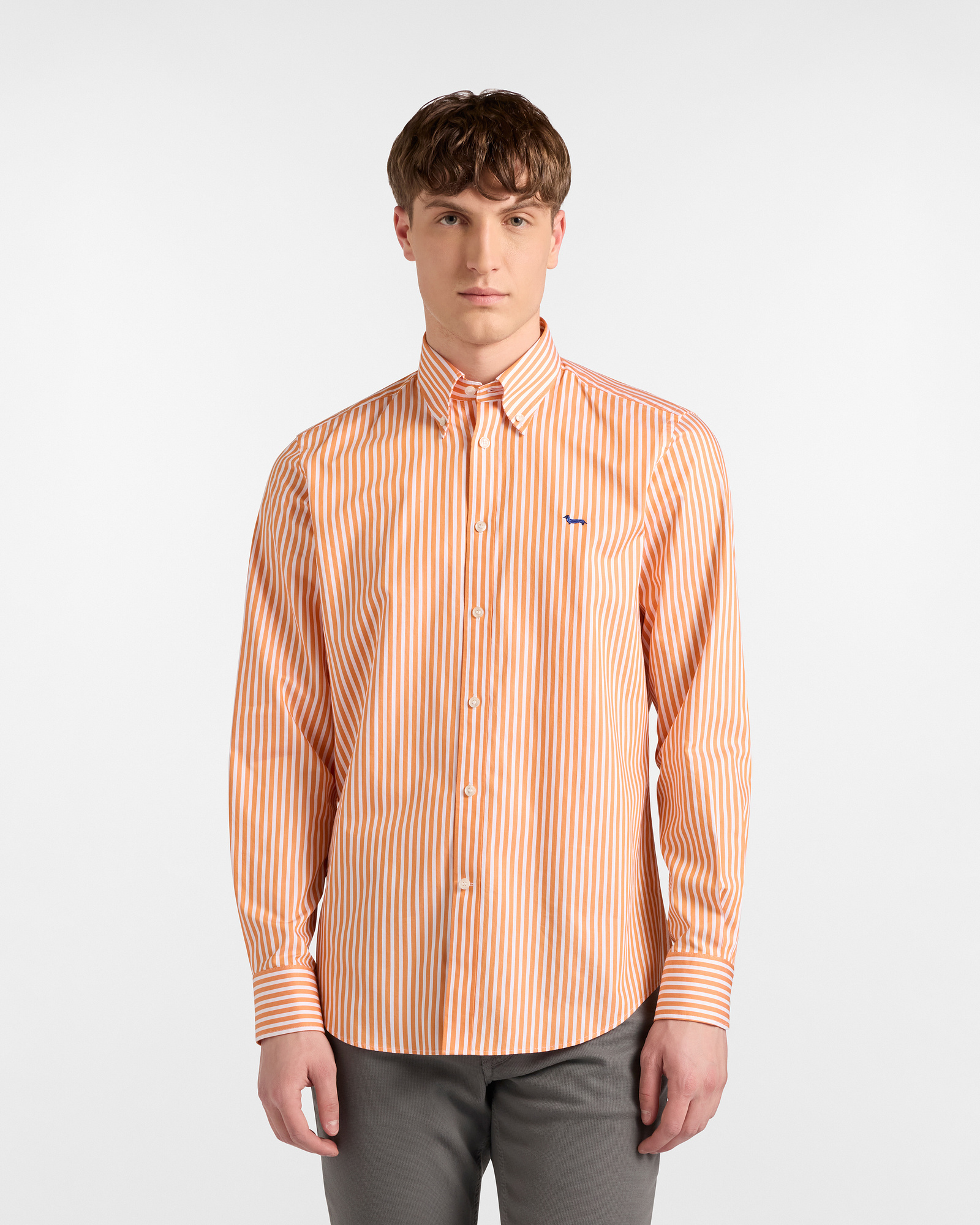 Striped Shirt with Dachshund