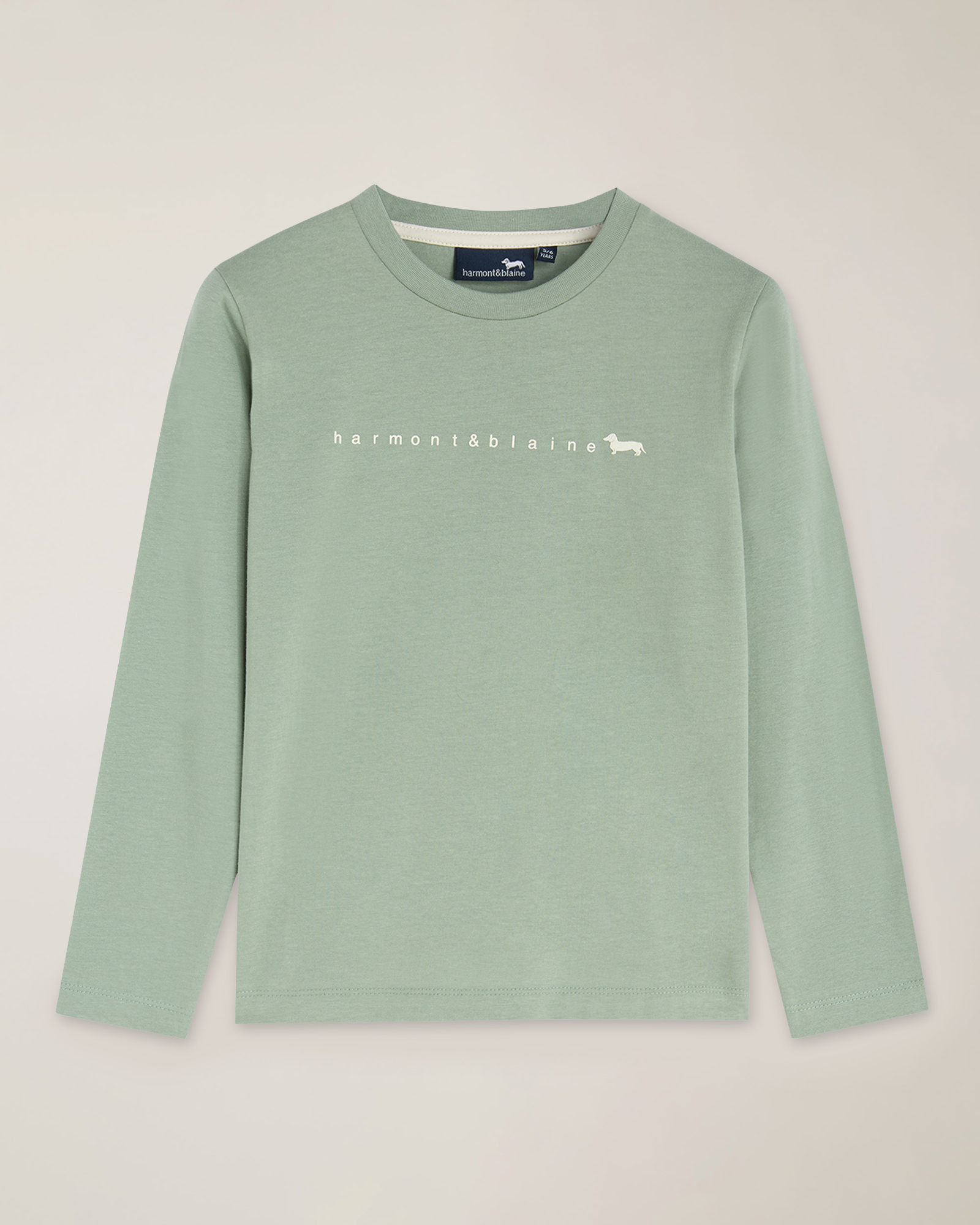  Camiseta de manga larga de punto con logotipo, Azul polvo, large