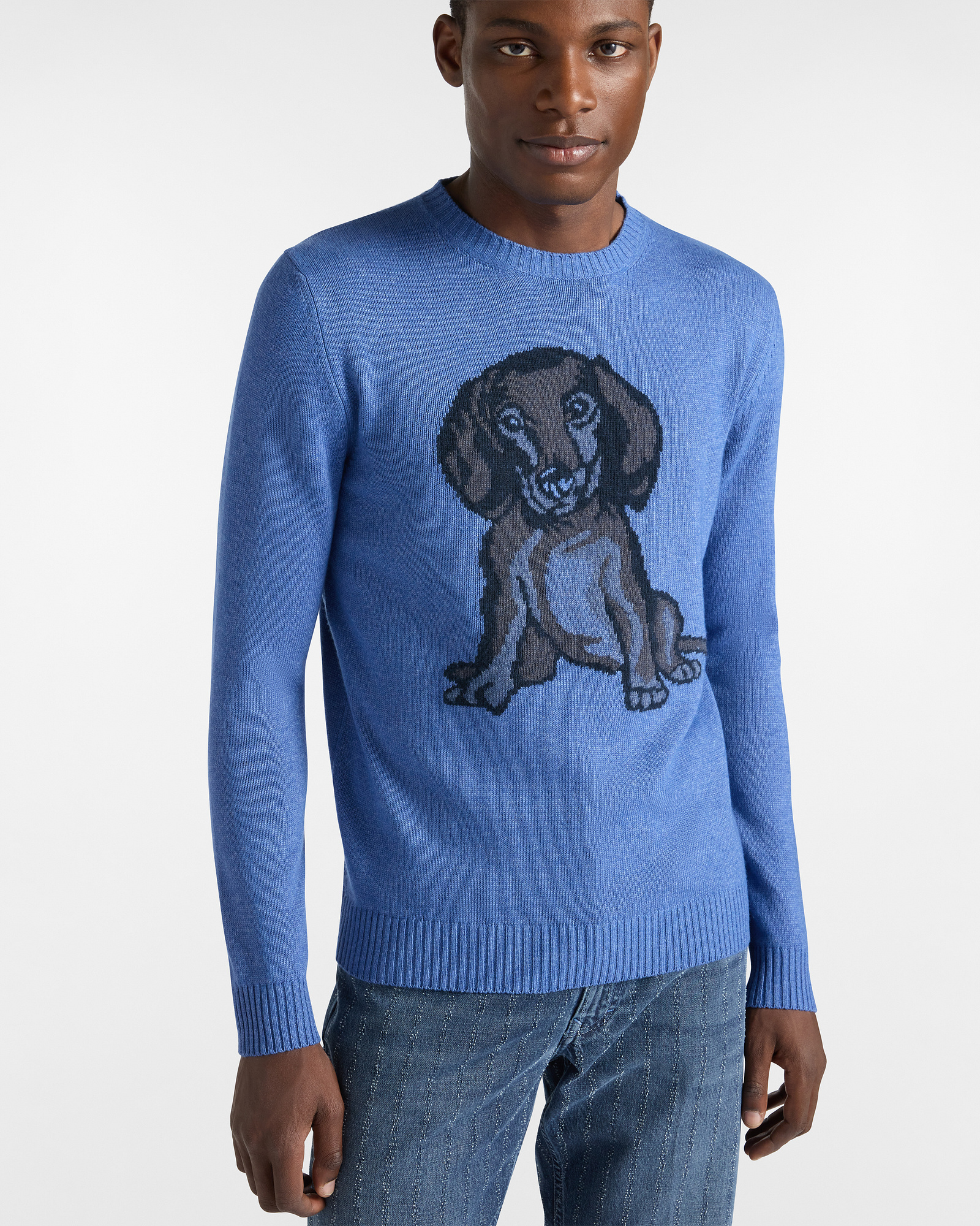 Garment-Dyed Sweater with Dachshund, Light Blue, large