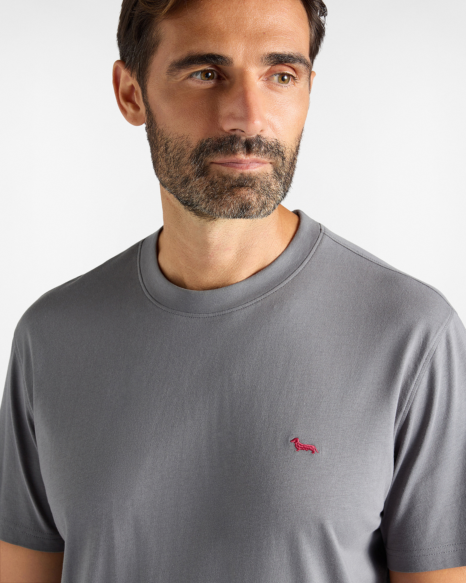 Camiseta de hombre en 100 % puro algod&oacute;n corte regular, GRIS, large image number 2