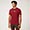 Camiseta De Algodón Con Teckel Multicolor, Rojo, swatch