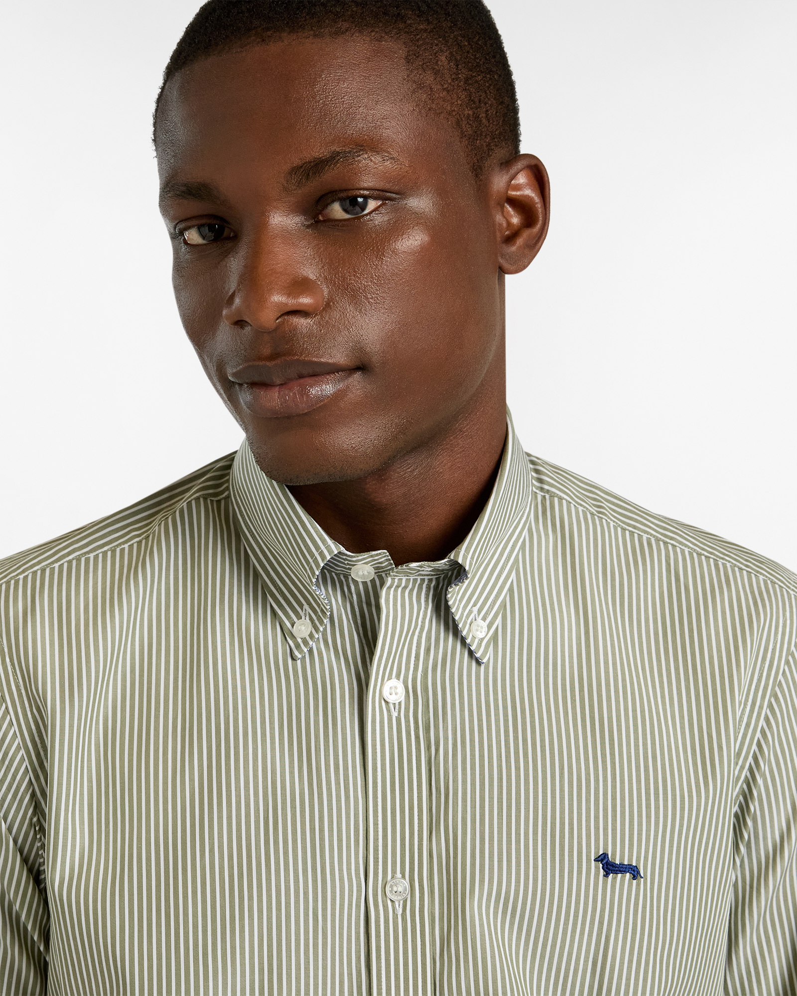 Striped Shirt with Dachshund, Green, large image number 2