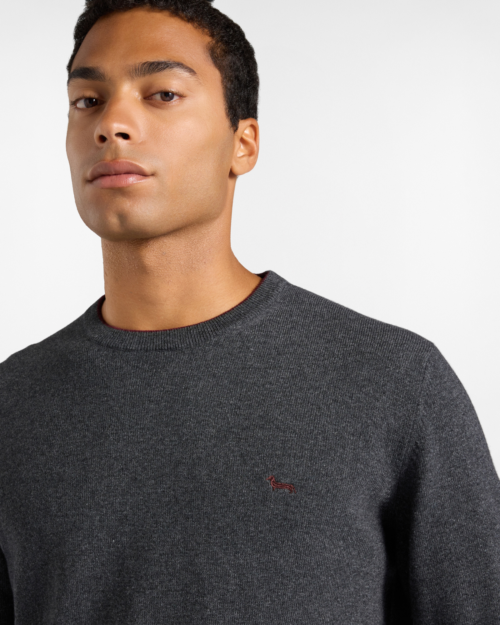 Men's crewneck sweater with contrasting stripe in a gray wool and cashmere blend with regular fit, GRAY, large image number 3