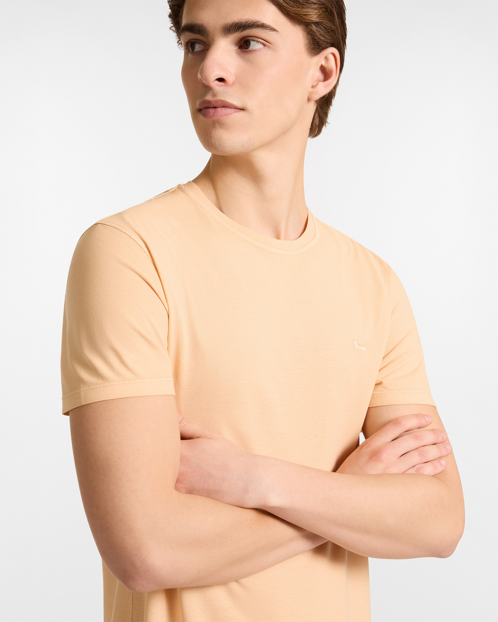 Cotton T-Shirt Capsule Earth Dye, Orange, large image number 2