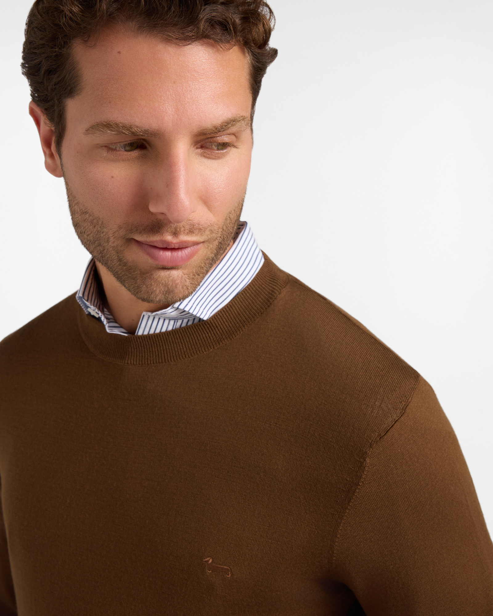 Maglia Uomo in 100% pura lana Regular Fit, MARRONE SCURO, large