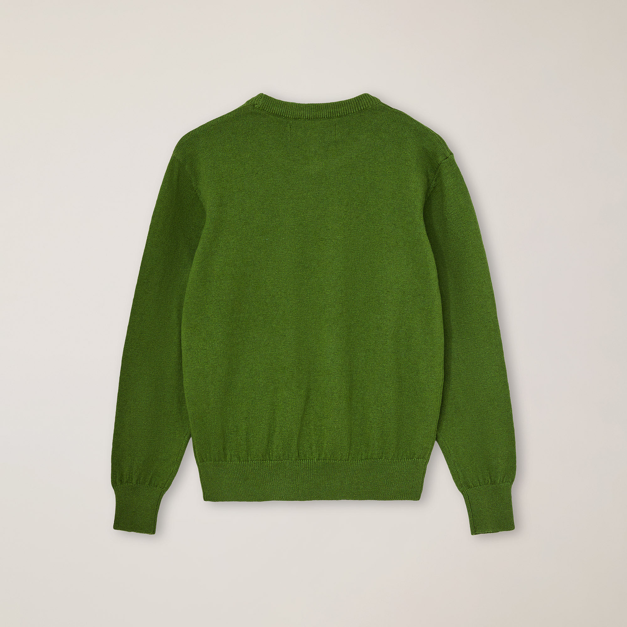 Jersey de cuello redondo en jacquard con bordado de teckel, Verde &aacute;cido, large image number 1