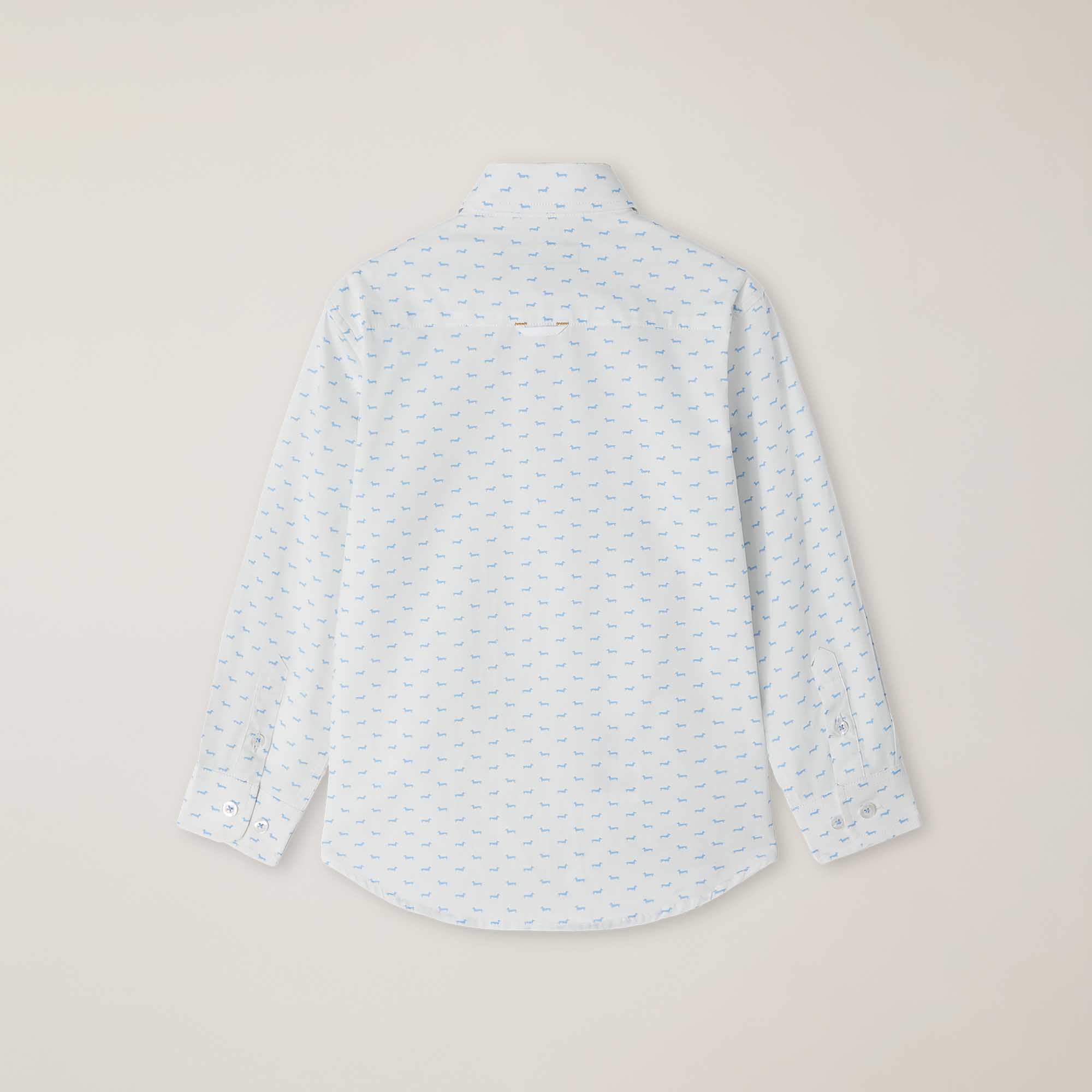 Poplin shirt with Dachshund micro pattern, White, large image number 1