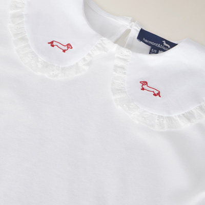 T-Shirt Cotone Organico Con Colletto Ricamato, Bianco, large image number 2