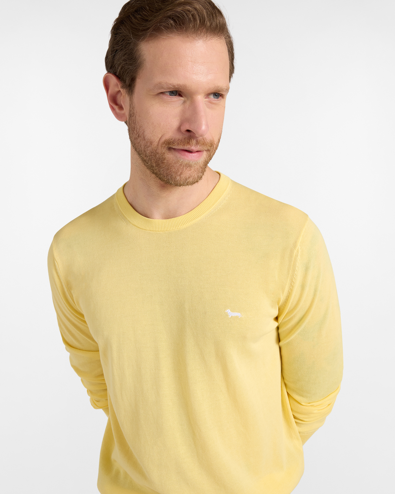 Pullover girocollo in cotone, Giallo, large image number 2
