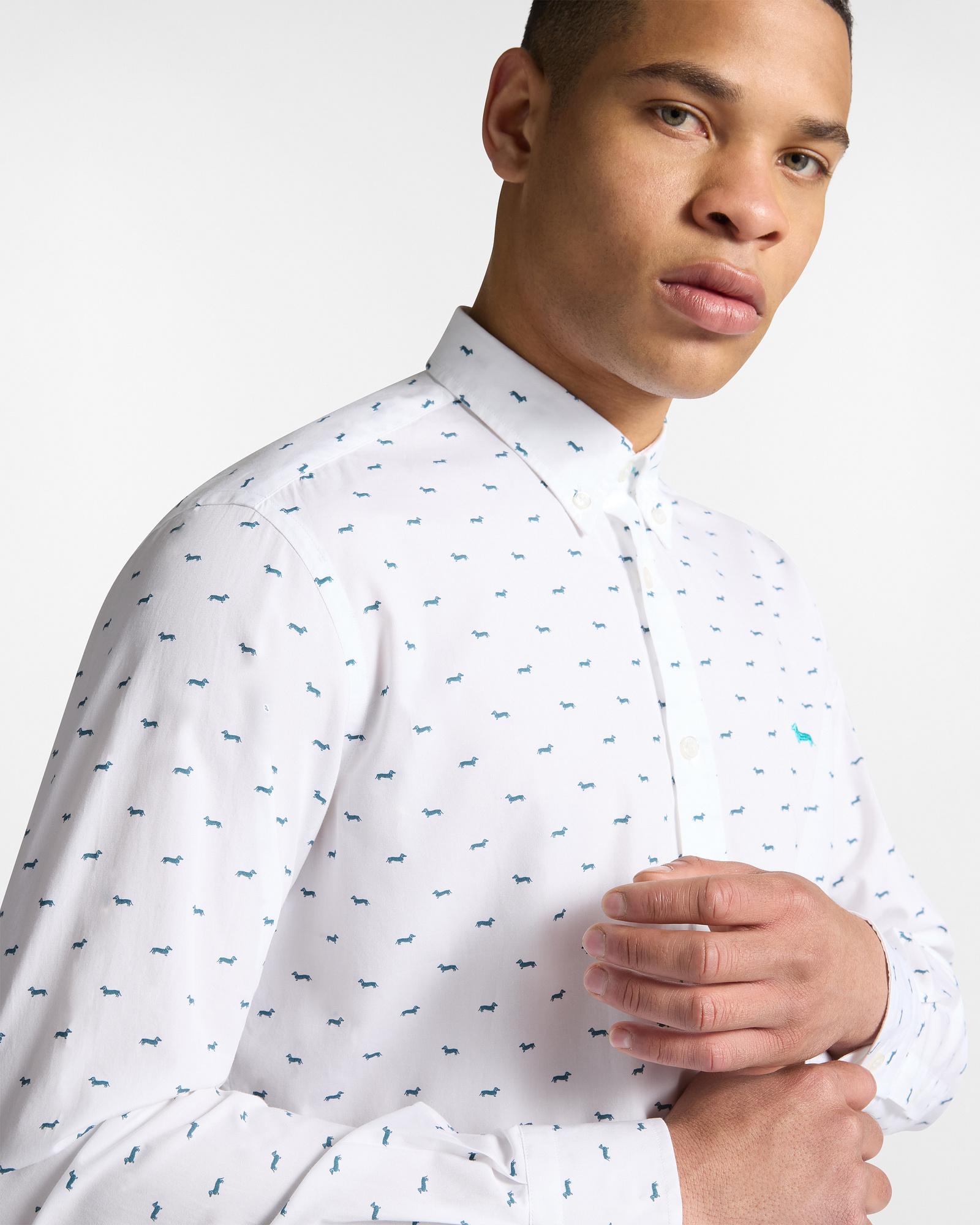 Cotton Shirt with Dachshunds, Bluette, large image number 2