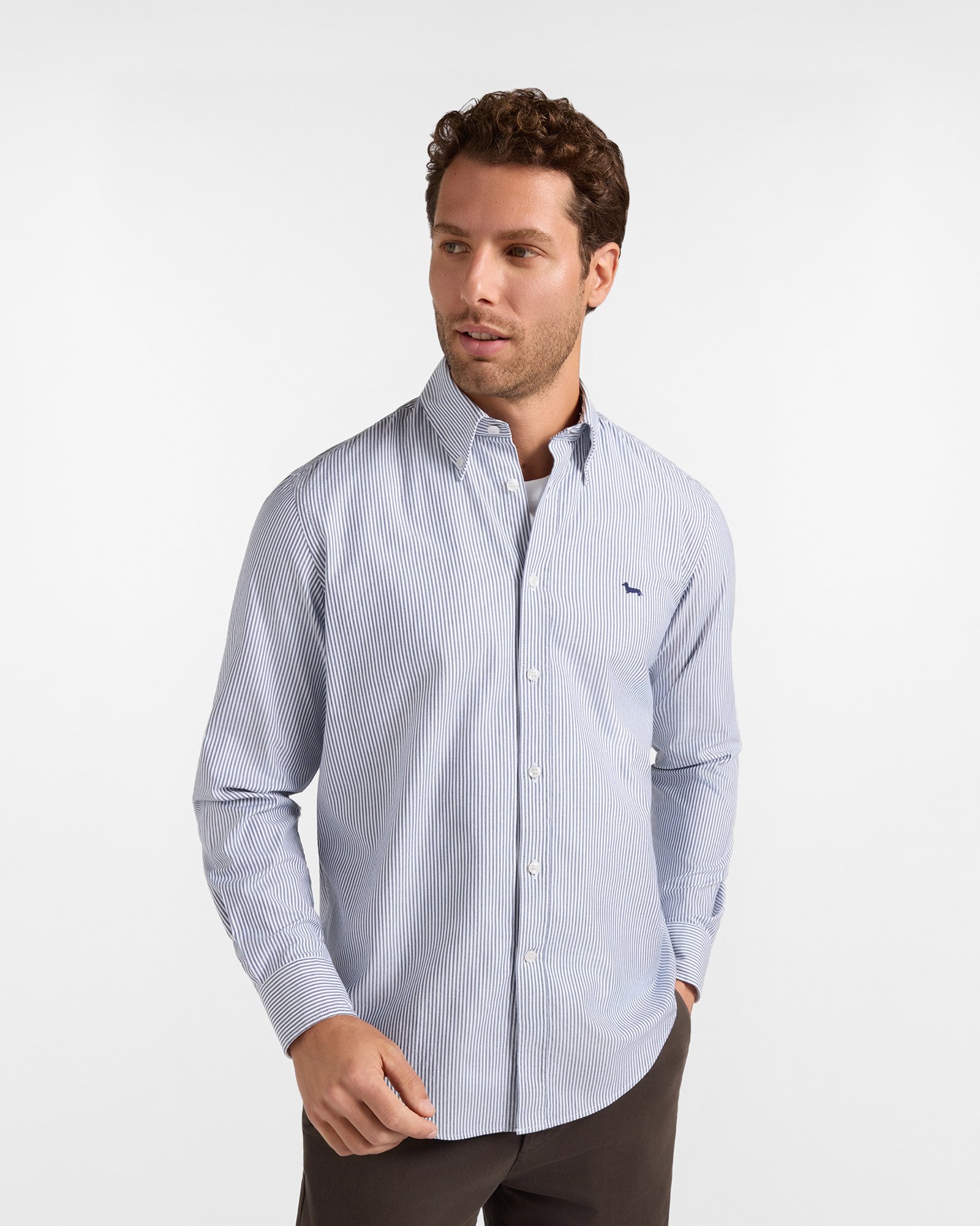 Men's regular-fit dark blue yarn-dyed Oxford shirt with stripe