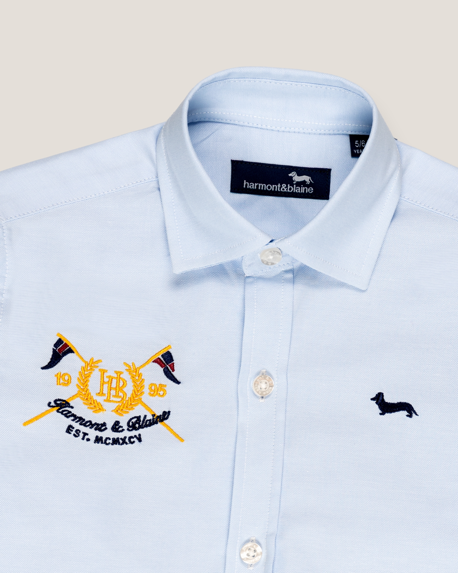 Oxford shirt, Light Blue, large