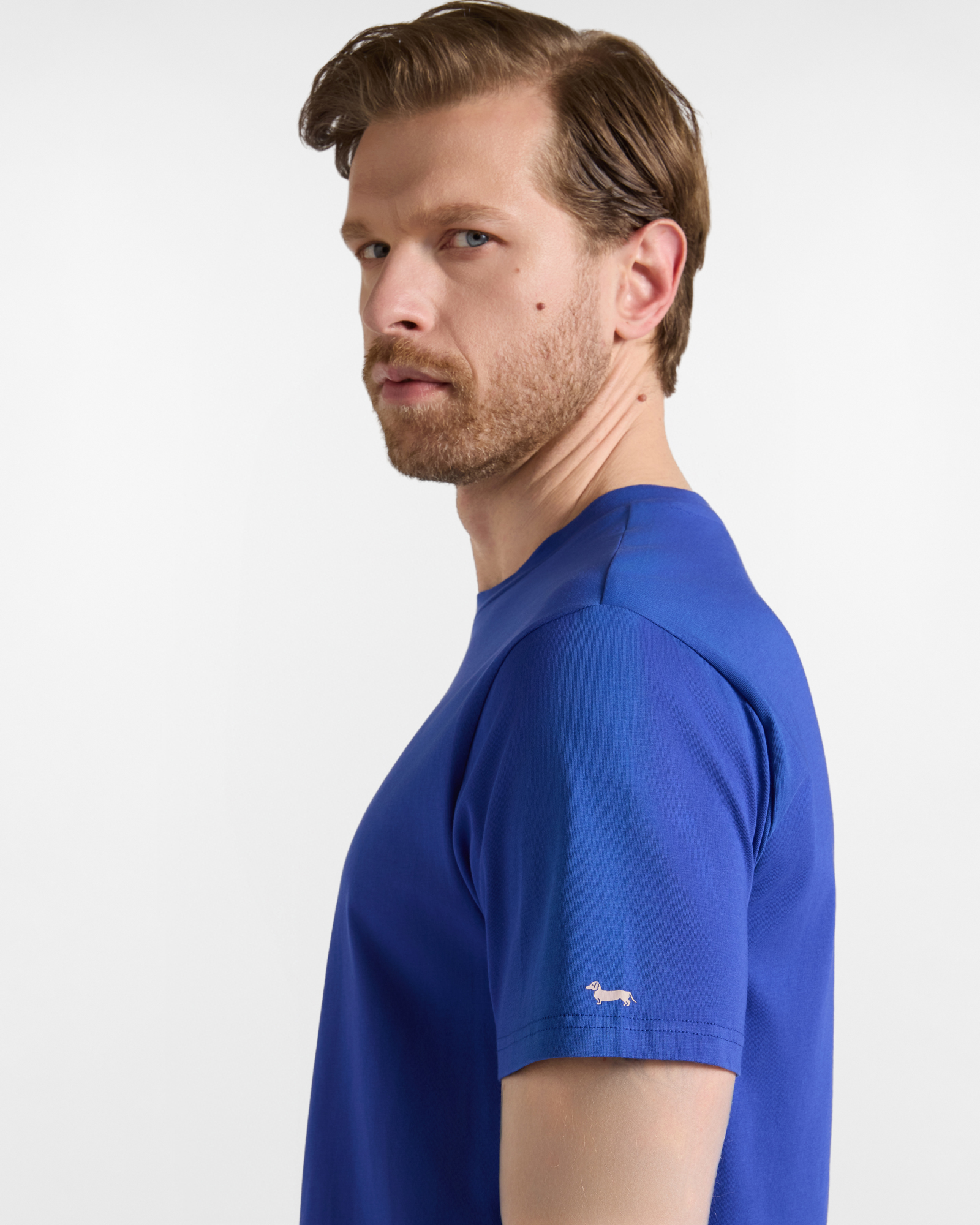 Camiseta de hombre de 100 % puro algod&oacute;n de corte regular, AZUL EL&Eacute;CTRICO, large image number 2