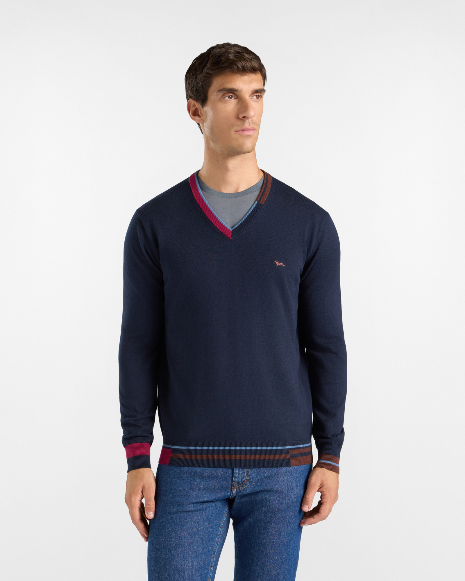 Men's regular fit V-neck sweater in a blue wool and cotton blend