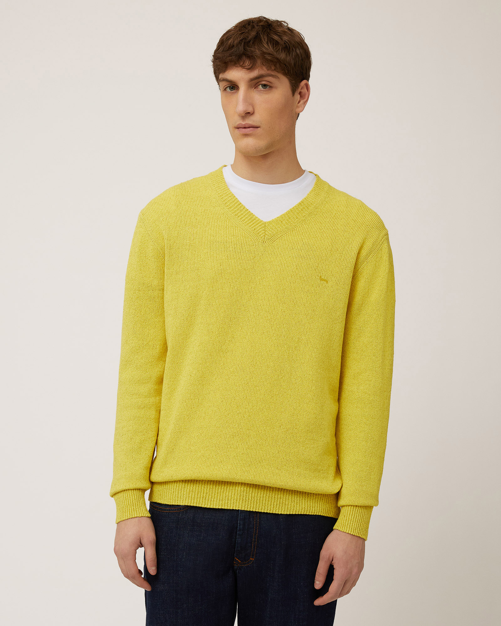 V-Neck Pullover