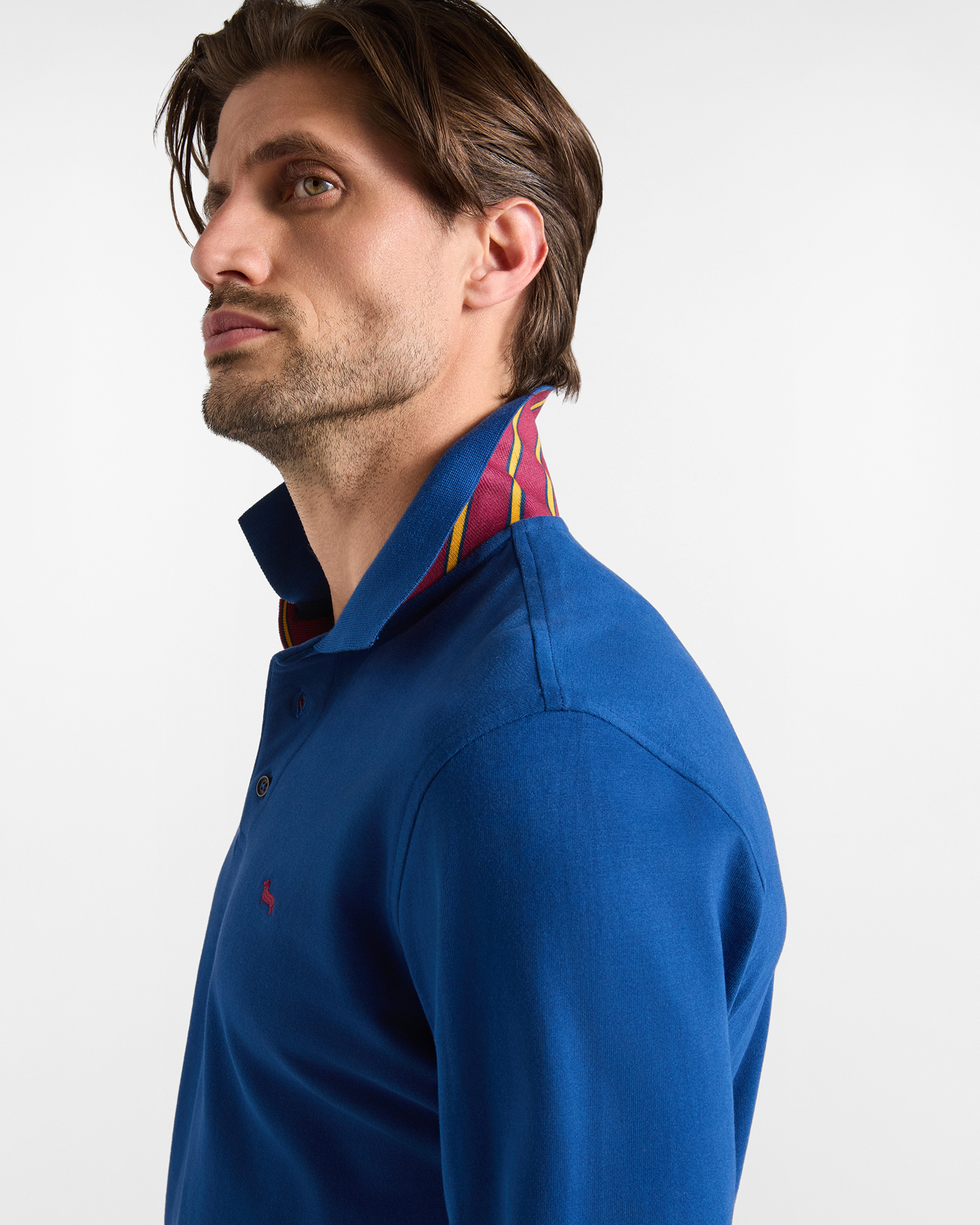 Men's long-sleeve 100% pure cotton brushed jersey polo shirt, SPORT BLUE, large image number 2