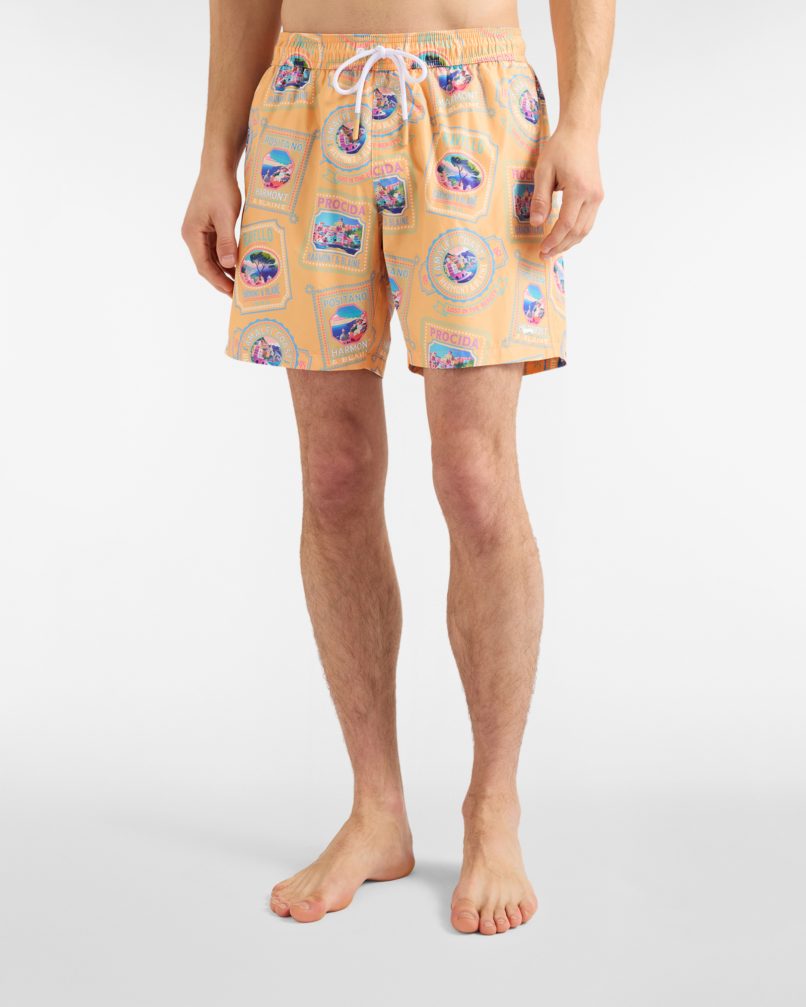 Postcard swim shorts