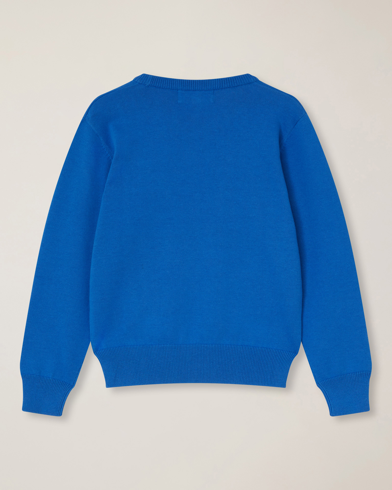 Girocollo con ricamo logo, Blu Chiaro, large image number 1
