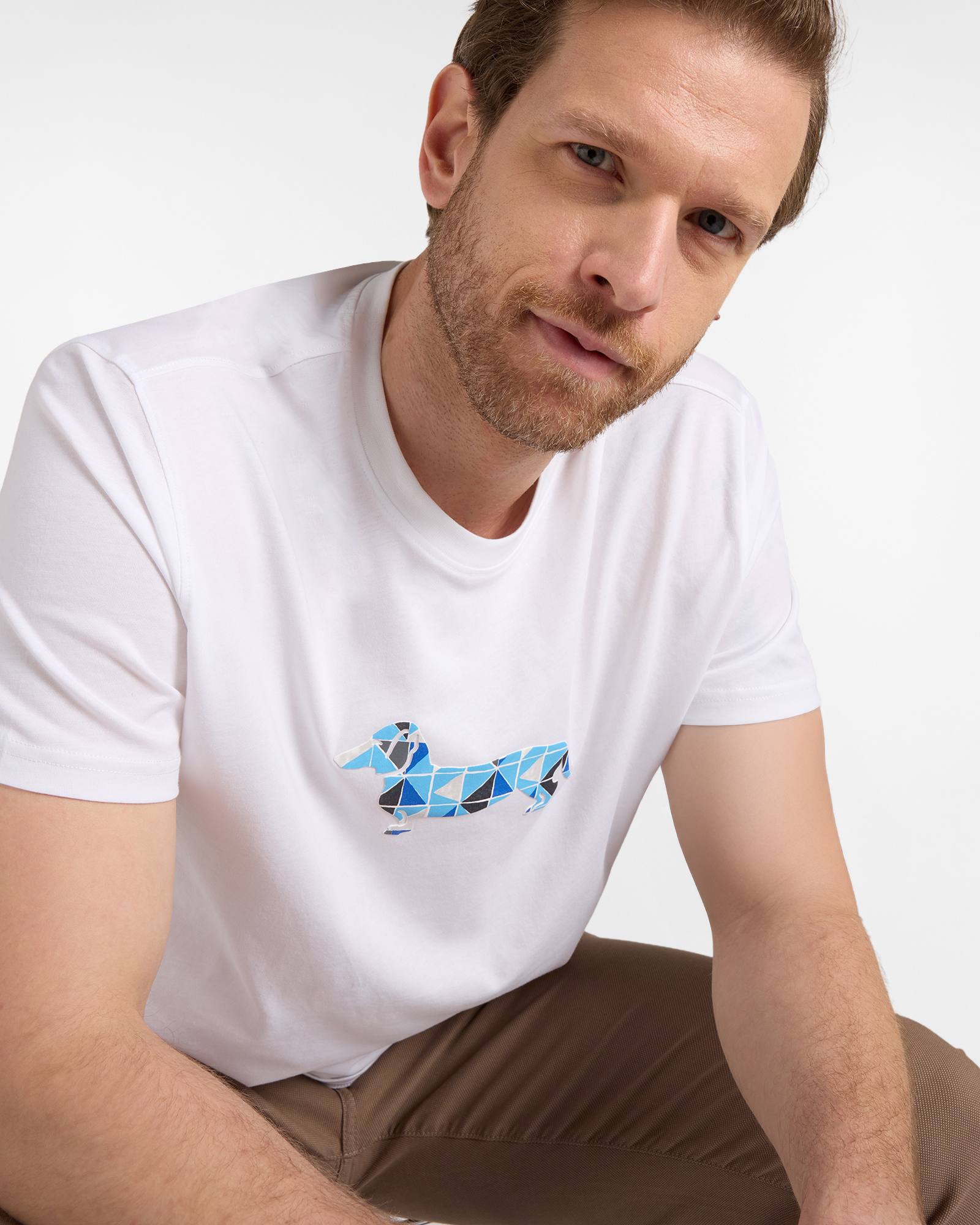 Men's T-shirt with 3D dachshund print, White, large image number 2