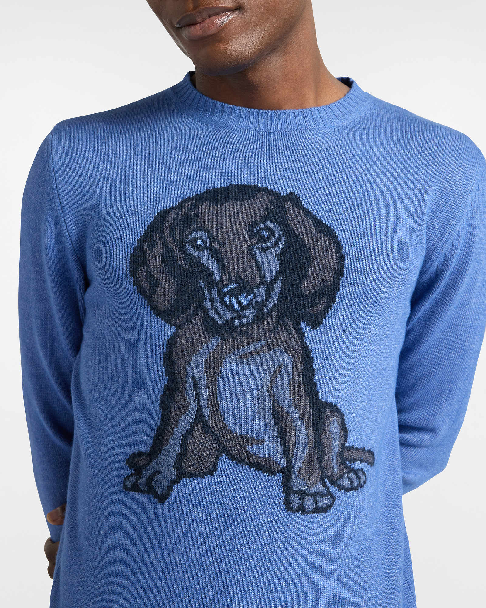 Garment-Dyed Sweater with Dachshund, Light Blue, large image number 2