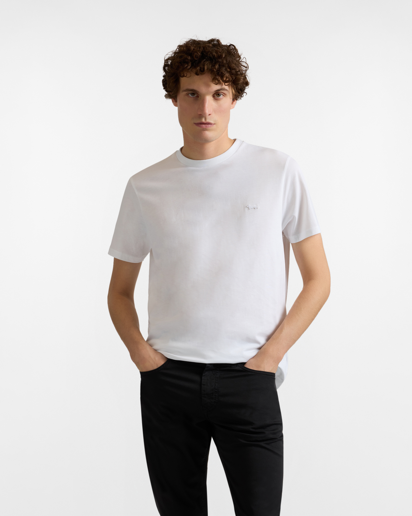 Men's premium cotton T-shirt