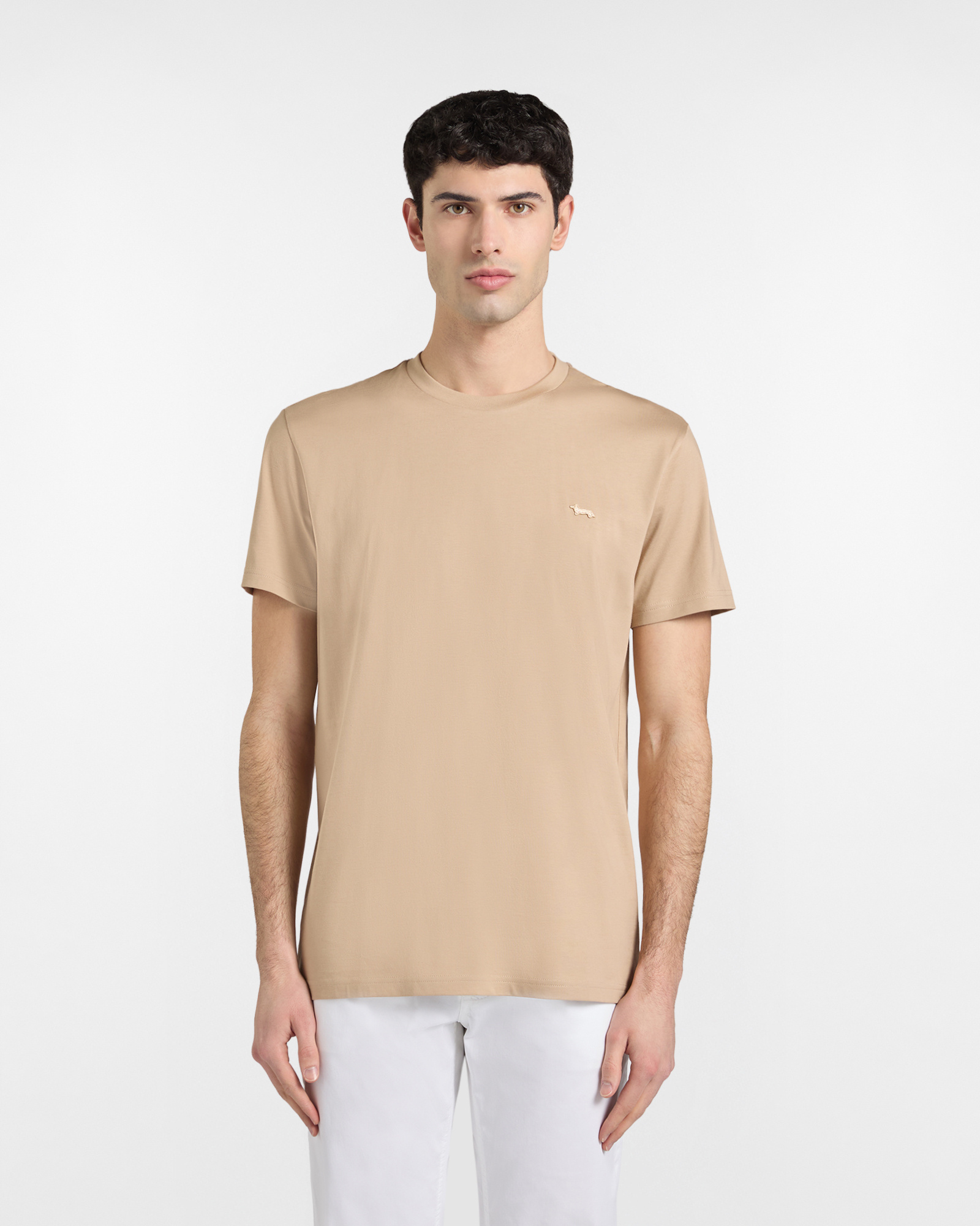 Men's premium cotton T-shirt