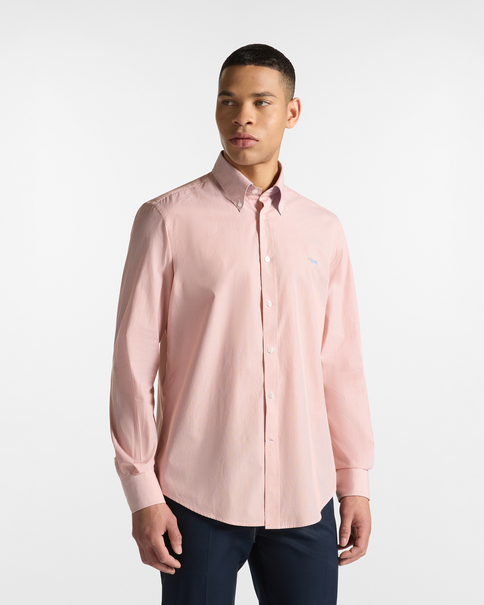 Camicia A Microrighe Con Bassotto, Arancione, large