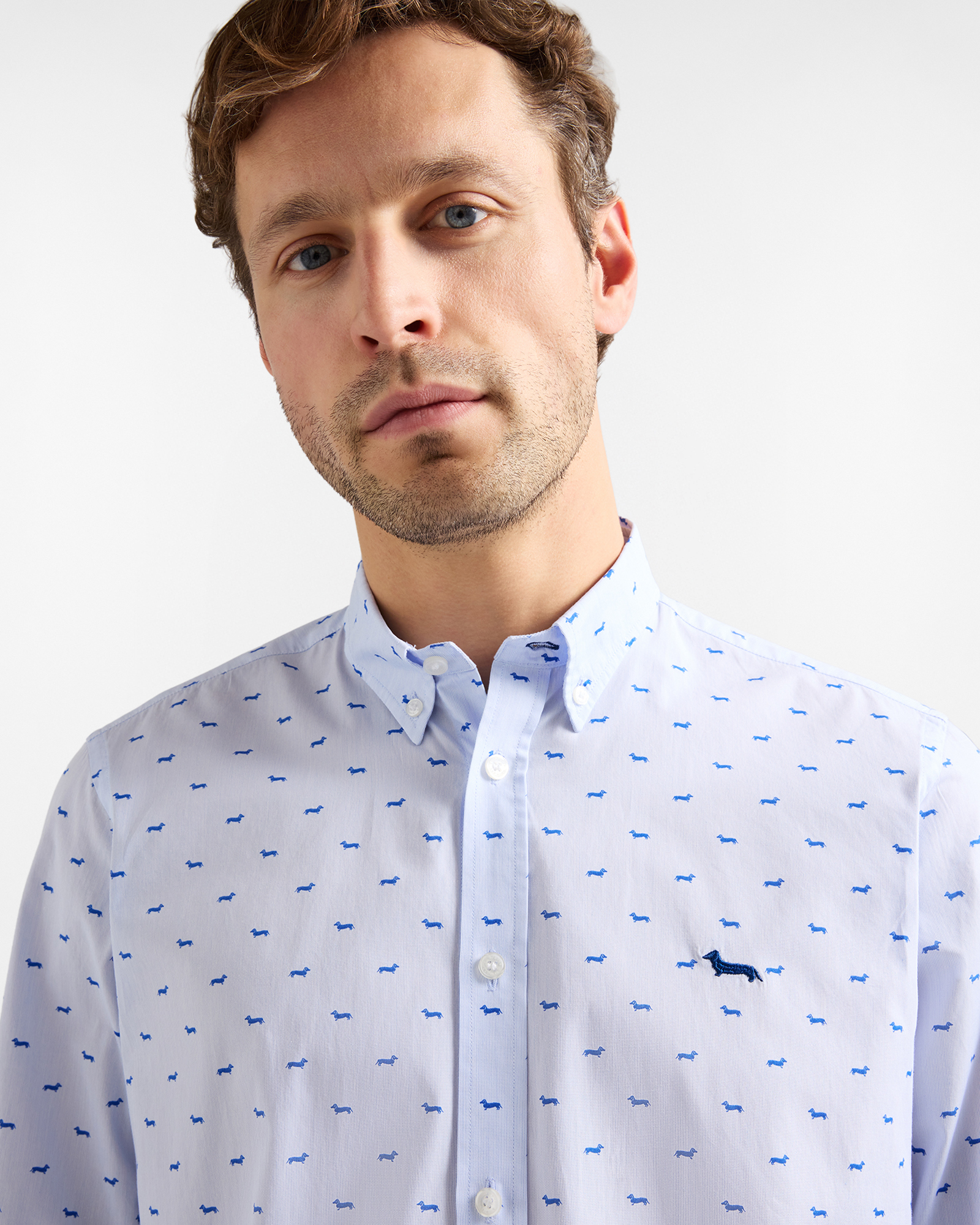 All-over micro-dachshunds shirt