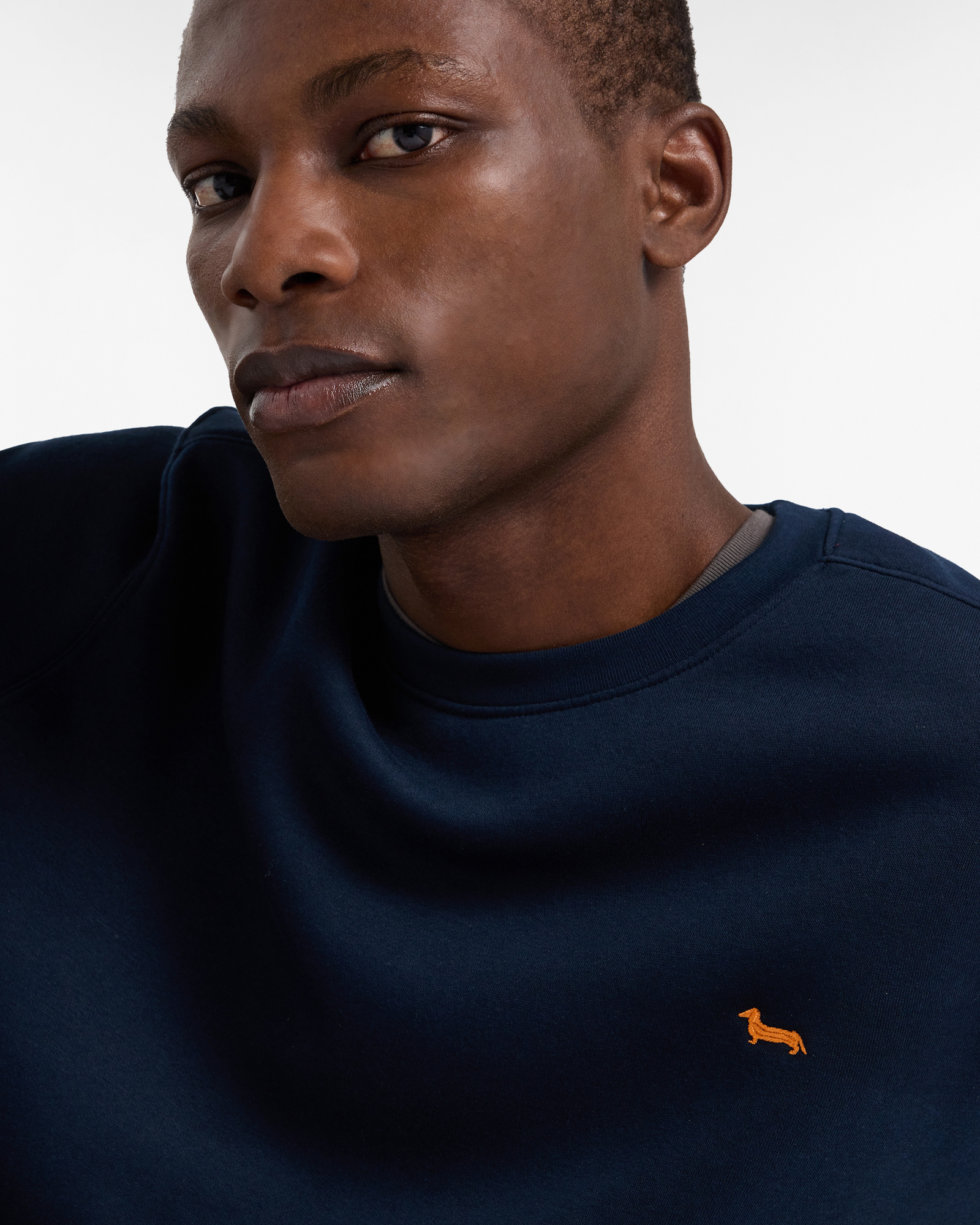 Comfort Sweatshirt With Dachshund, Navy Blue, large image number 2