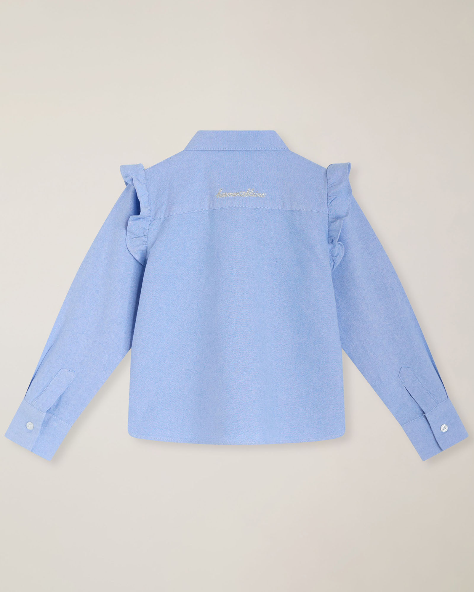 Camicia oxford con ricamo dietro, Cielo, large image number 1