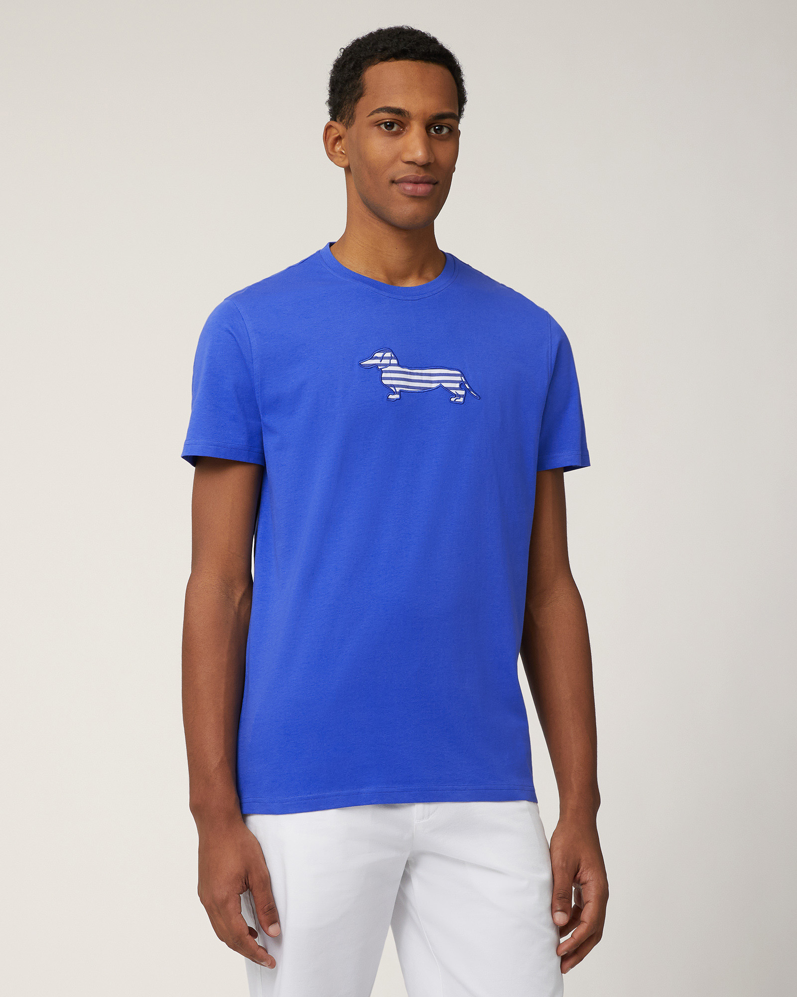 Sorbet T-Shirt with Dachshund, Light Blue, large