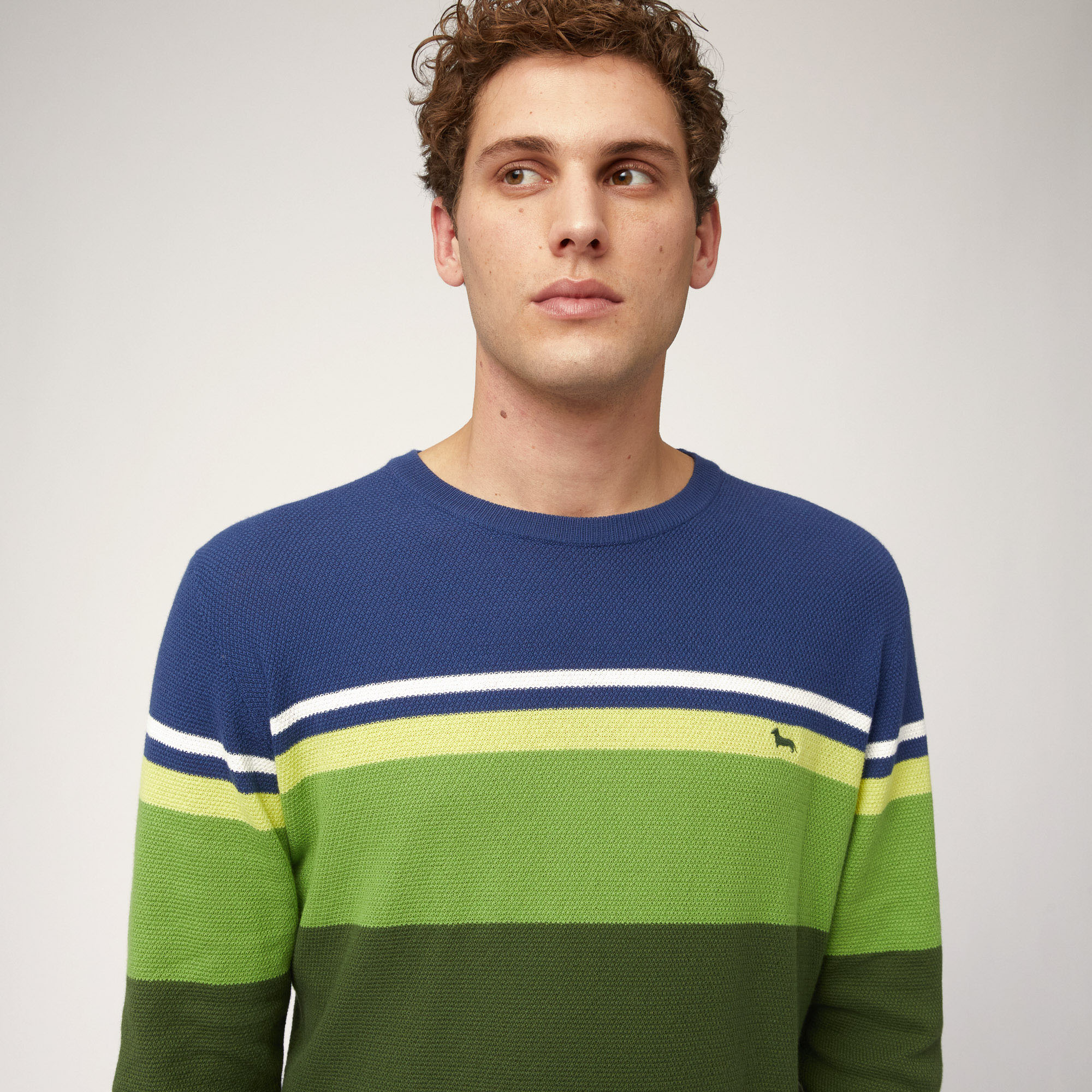 Color Block Organic Cotton Crew Neck Pullover, Green, large image number 2
