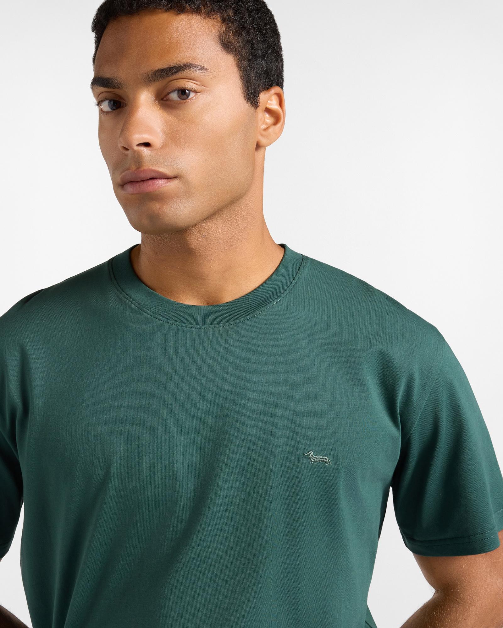 Men's relaxed-fit T-shirt in 100% pure cotton, BOTTLE GREEN, large image number 2