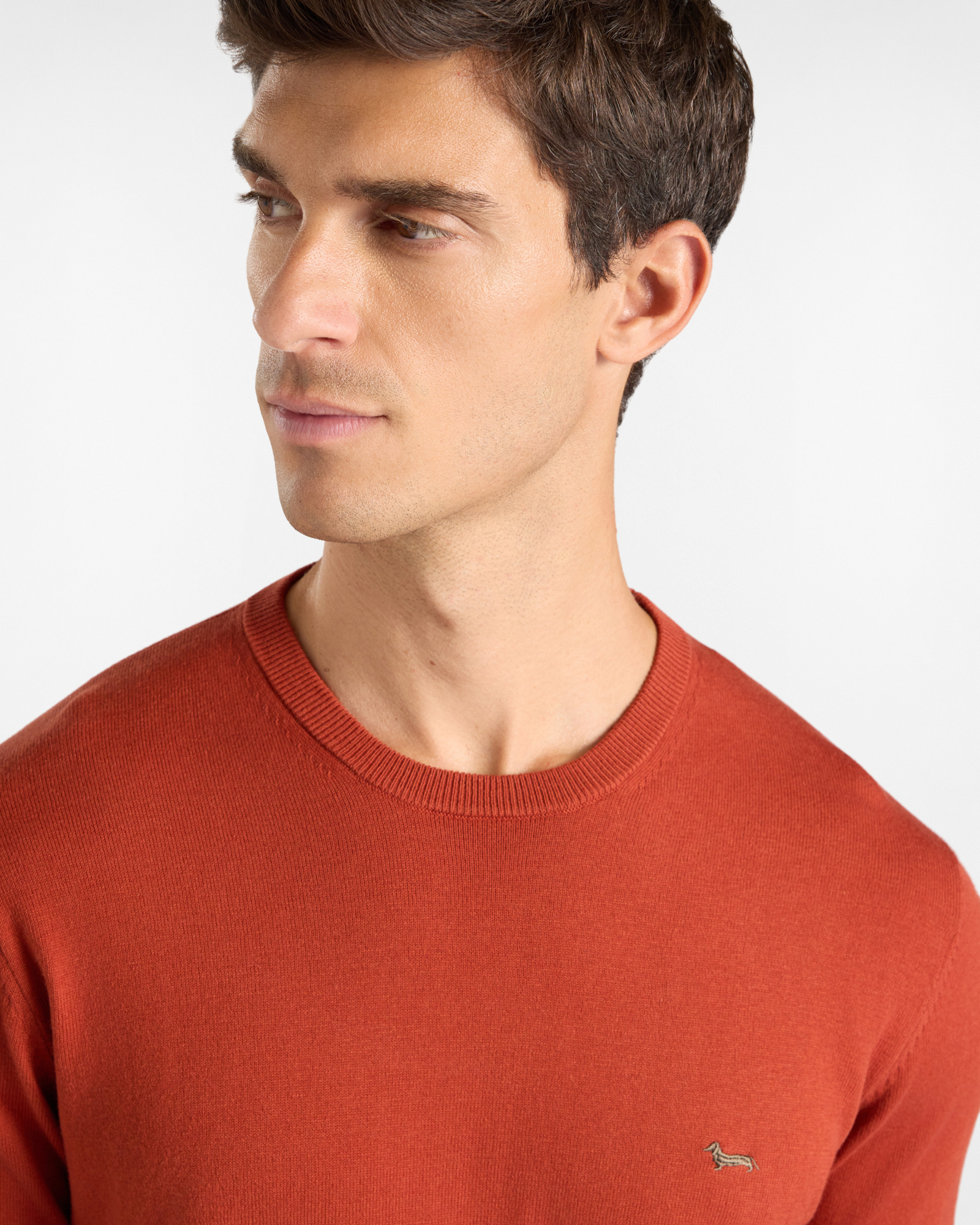 Men's regular fit sweater in a  wool and cotton blend, BRICK RED, large image number 2