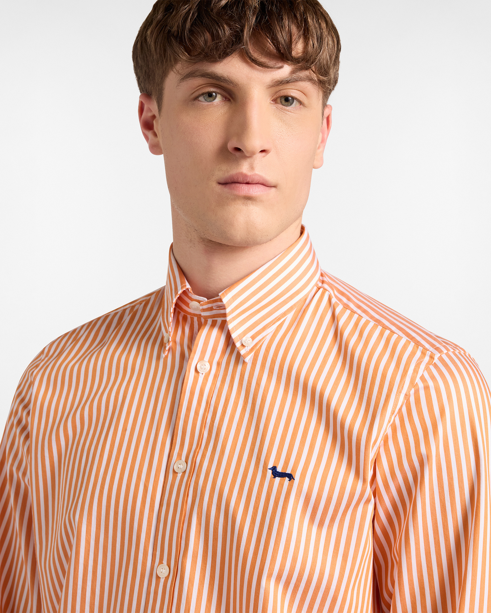 Camicia A Righe Con Bassotto, Arancione, large image number 2