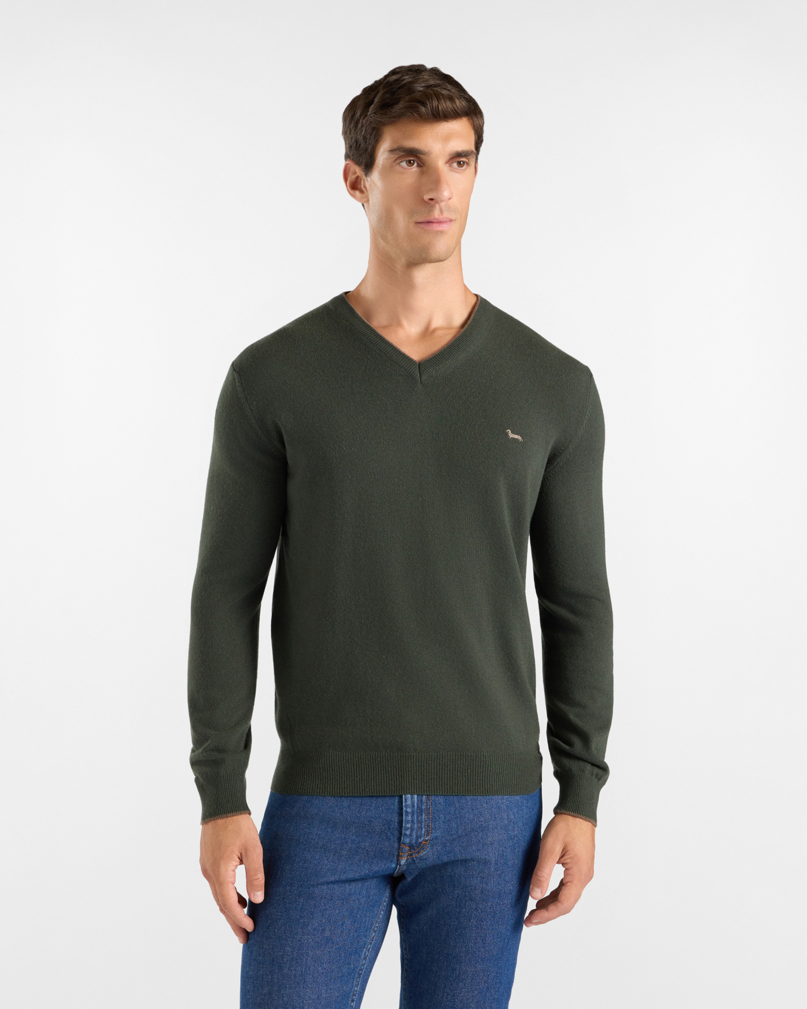 Men's regular fit V-neck sweater in a green wool and cashmere blend