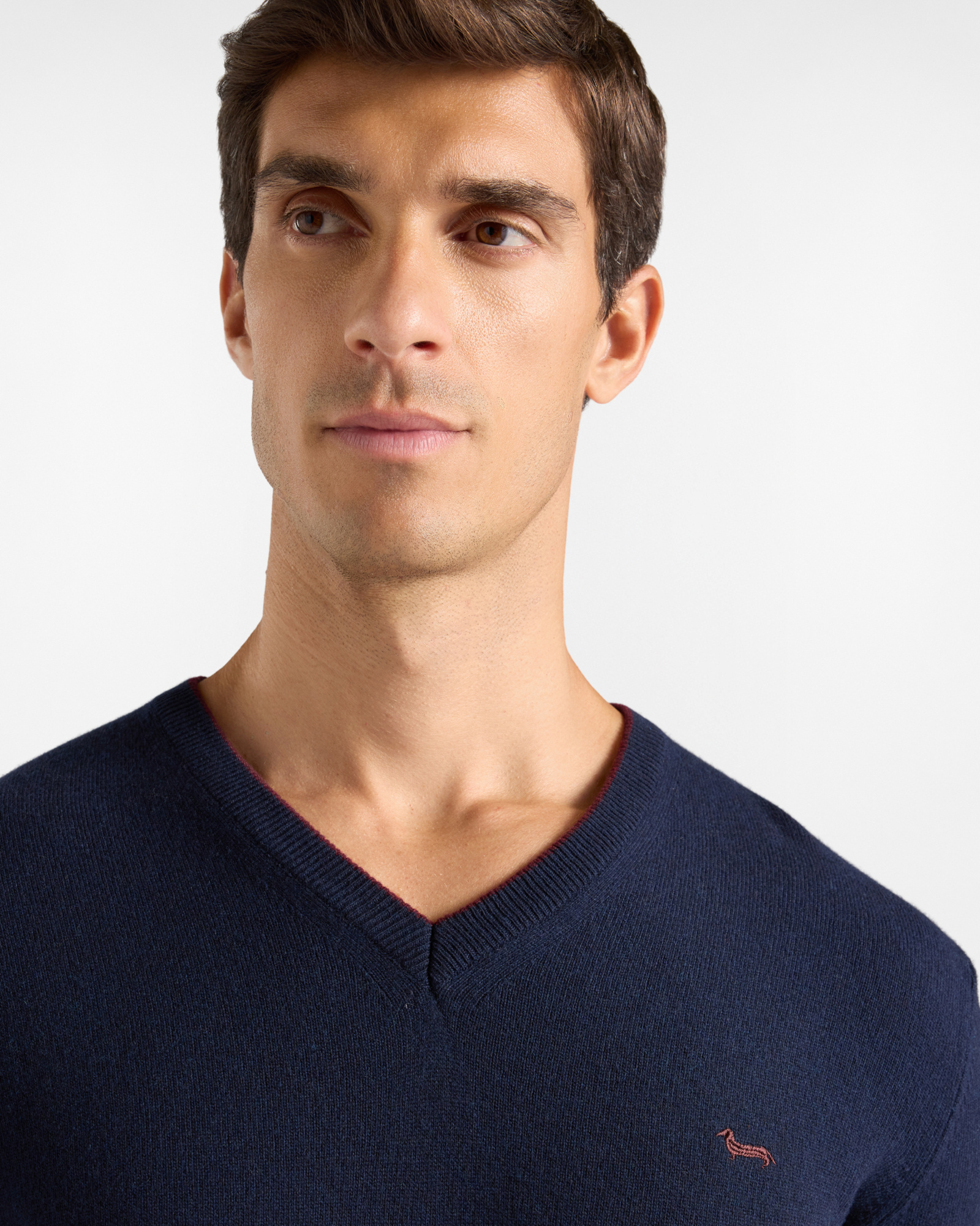 Men's regular fit V-neck sweater in a  wool and cashmere blend, NAVY BLUE, large image number 2