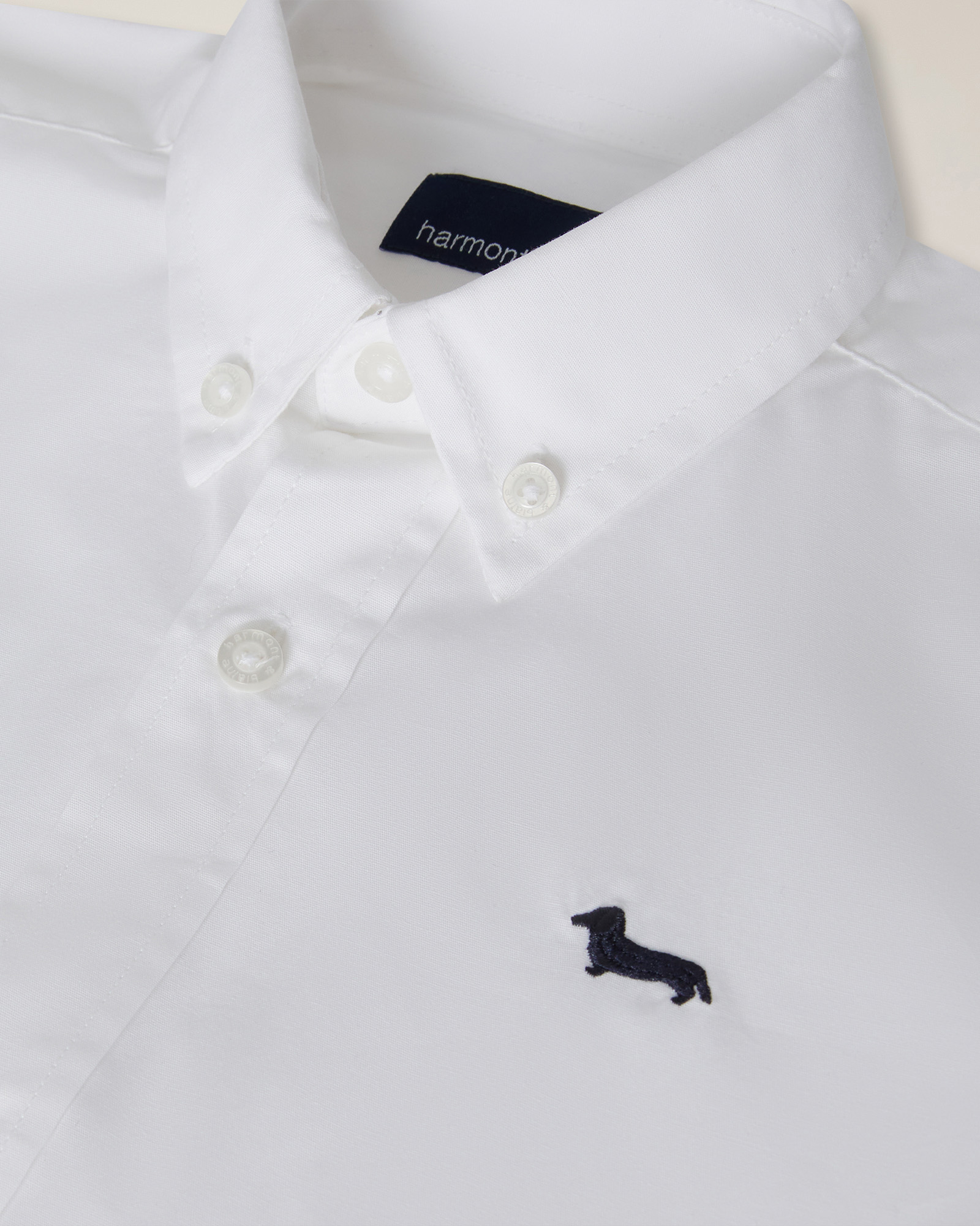 Camicia tinta unita collo button down, Bianco, large image number 2