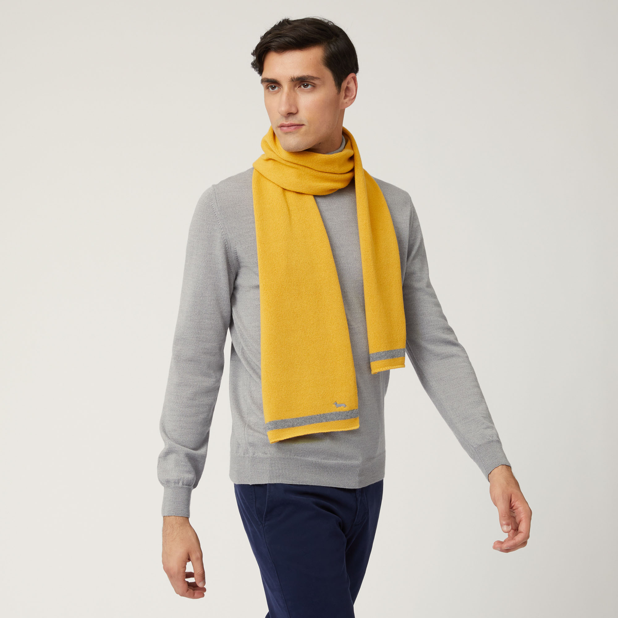 Two-Tone Cashmere-Blend Scarf With Dachshund, Gold, large image number 2