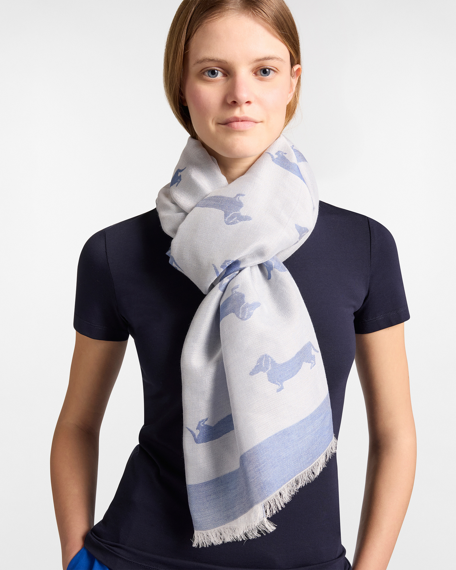 Light Scarf with All-Over Dachshunds, Light Blue, large
