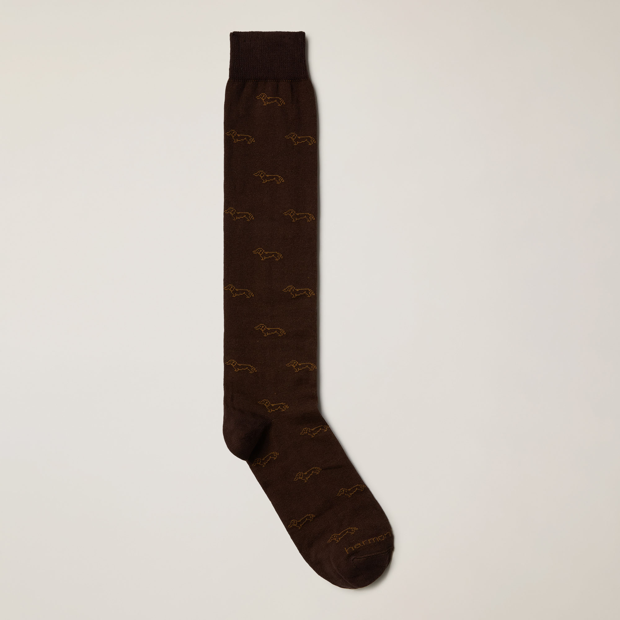 Long Socks With Dachshund Motif All Over
