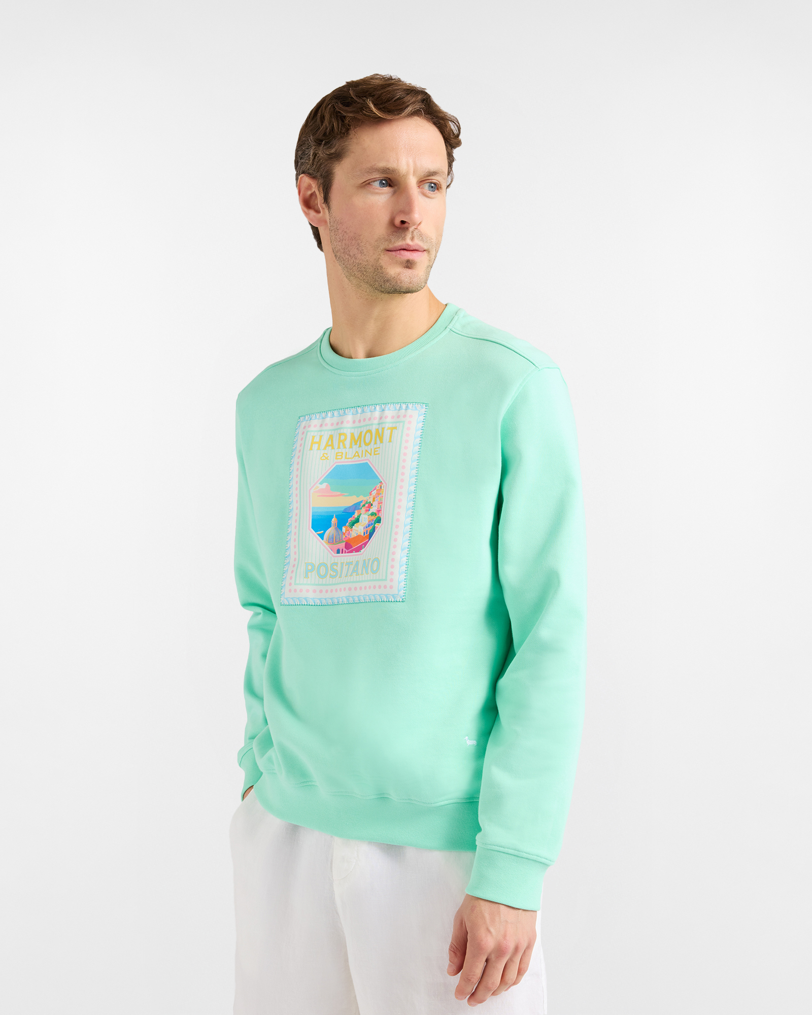 Felpa Uomo Postcard Capsule in Cotone, Uomo, Verde, Taglia: S