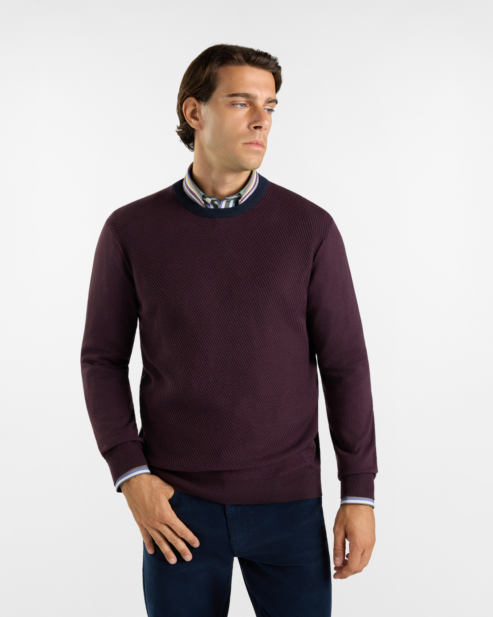 Maglia girocollo HBJ Uomo collo a contrasto in misto lana e cashmere, PRUGNA, large