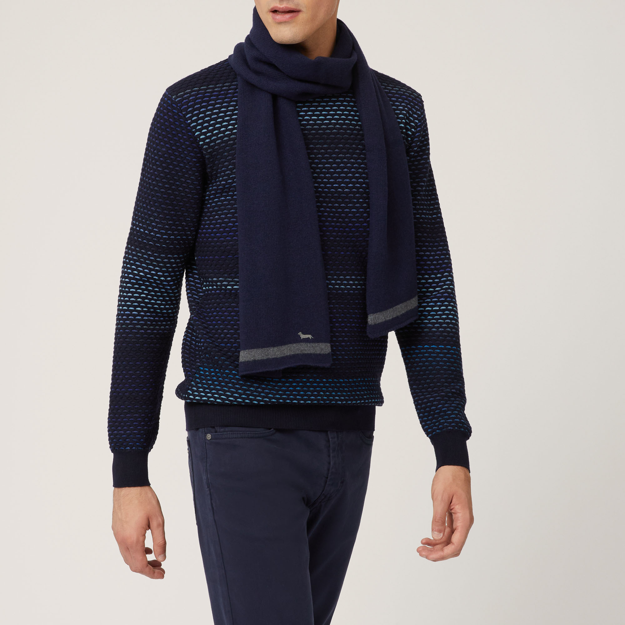 Two-Tone Cashmere-Blend Scarf With Dachshund, Blue, large image number 2