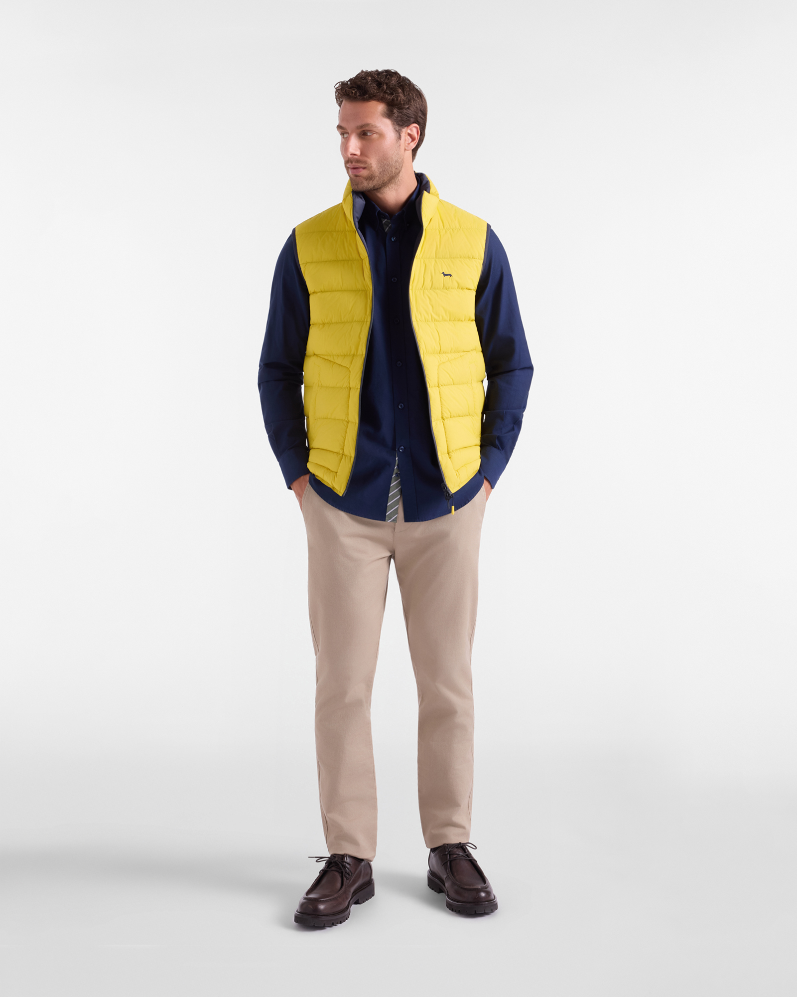 Men's regular-fit dark blue Oxford shirt with regimental placket, DARK BLUE, large image number 3