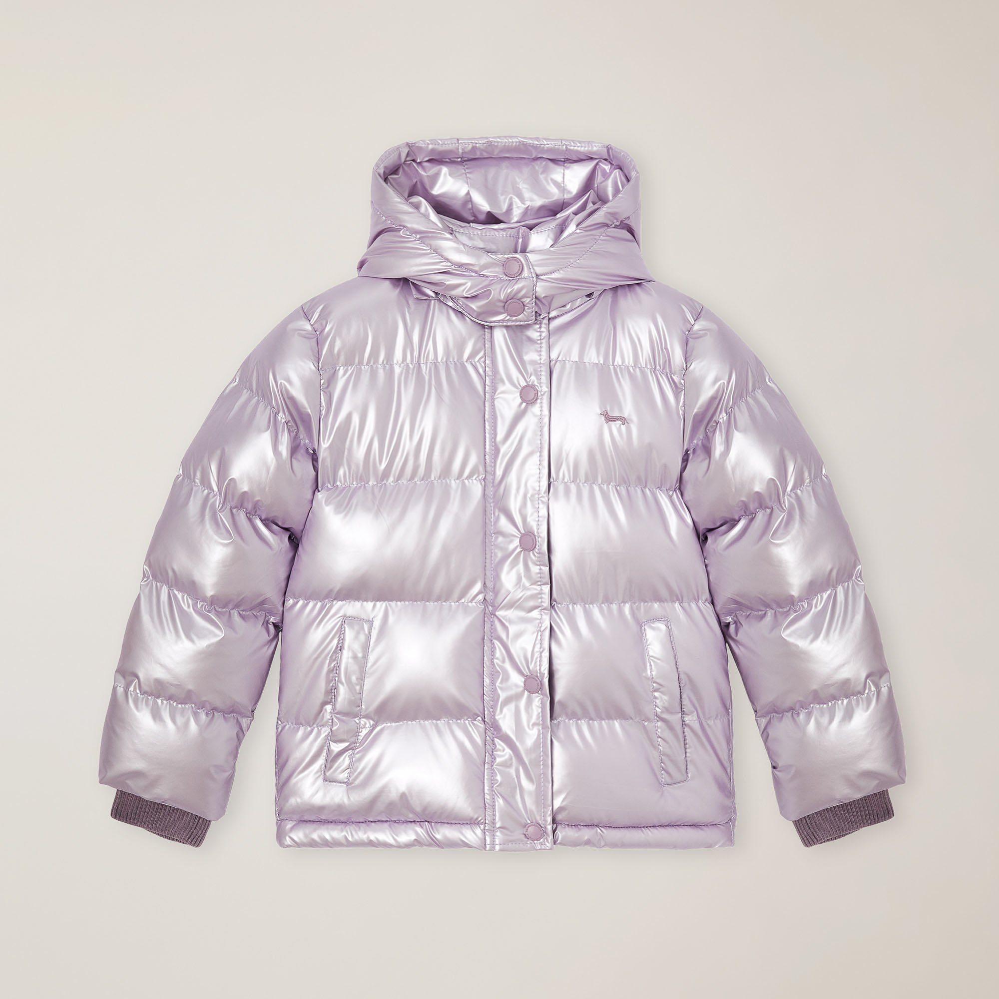 Nylon jacket with hood, Lilac, large image number 0