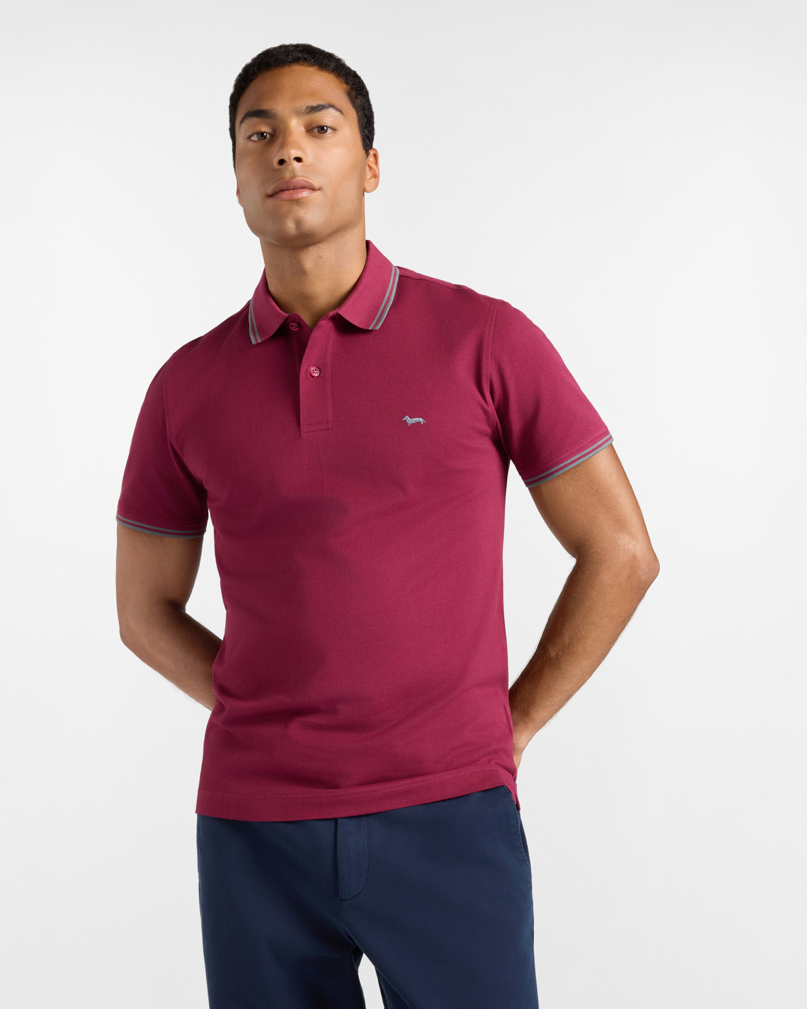 Men's short-sleeve indian rose 100% pure cotton piqu&eacute; polo shirt