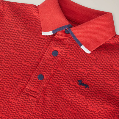 Micro-pattern print polo shirt, Red, large image number 2