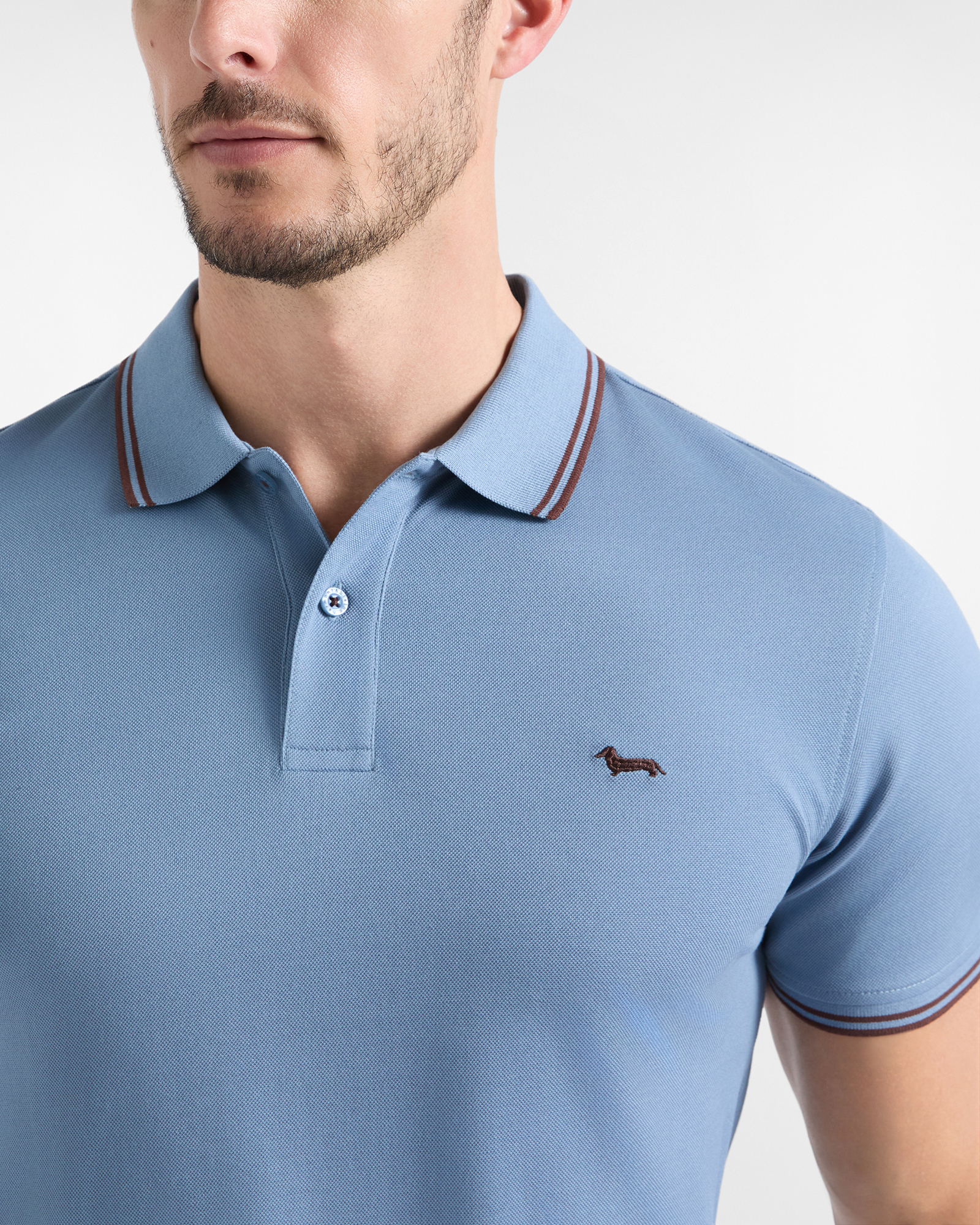 Men's short-sleeve 100% pure cotton piqu&eacute; polo shirt, LIGHT BLUE, large image number 2