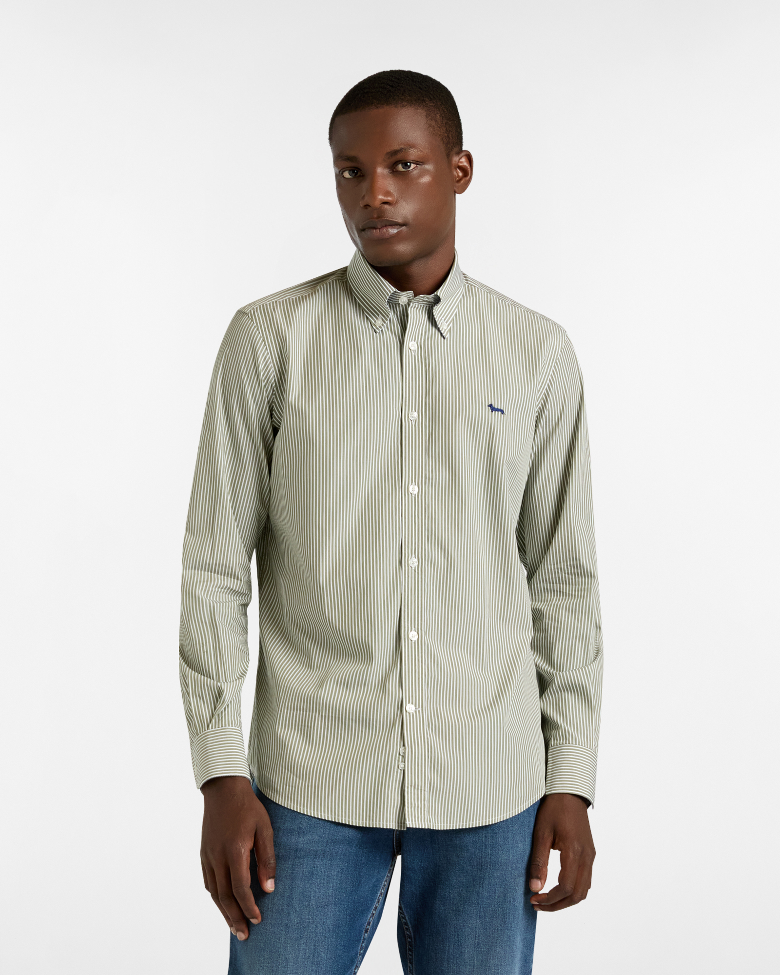 Striped Shirt with Dachshund, Green, large